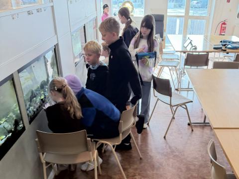 þekkingarsetrið